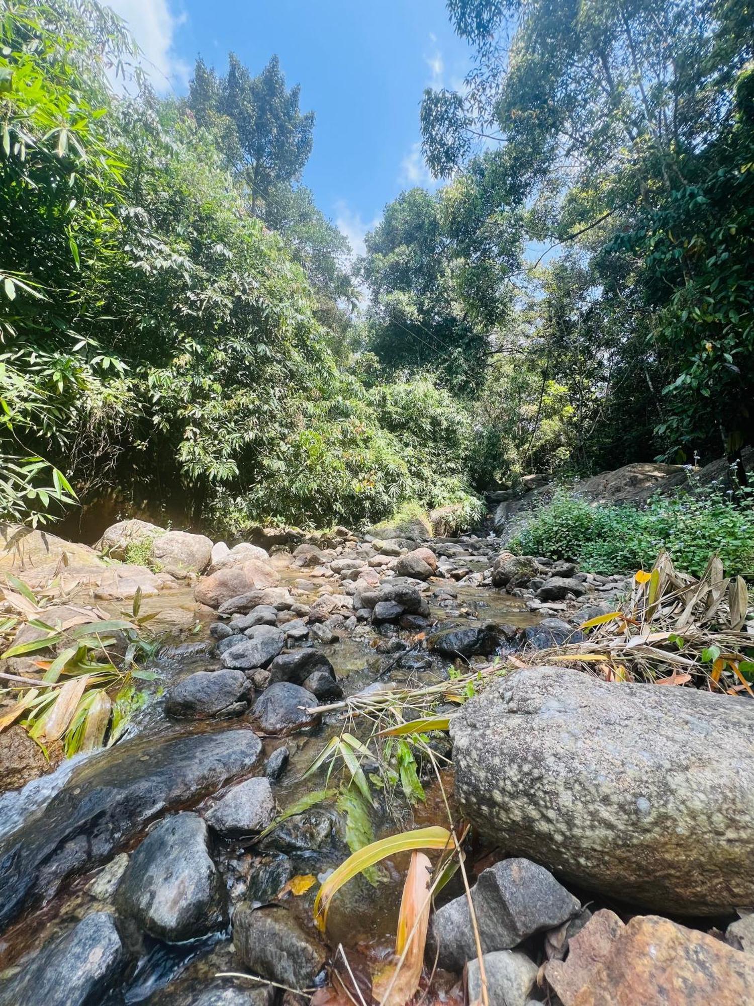 Hotel Mount Court Munnar Exteriér fotografie