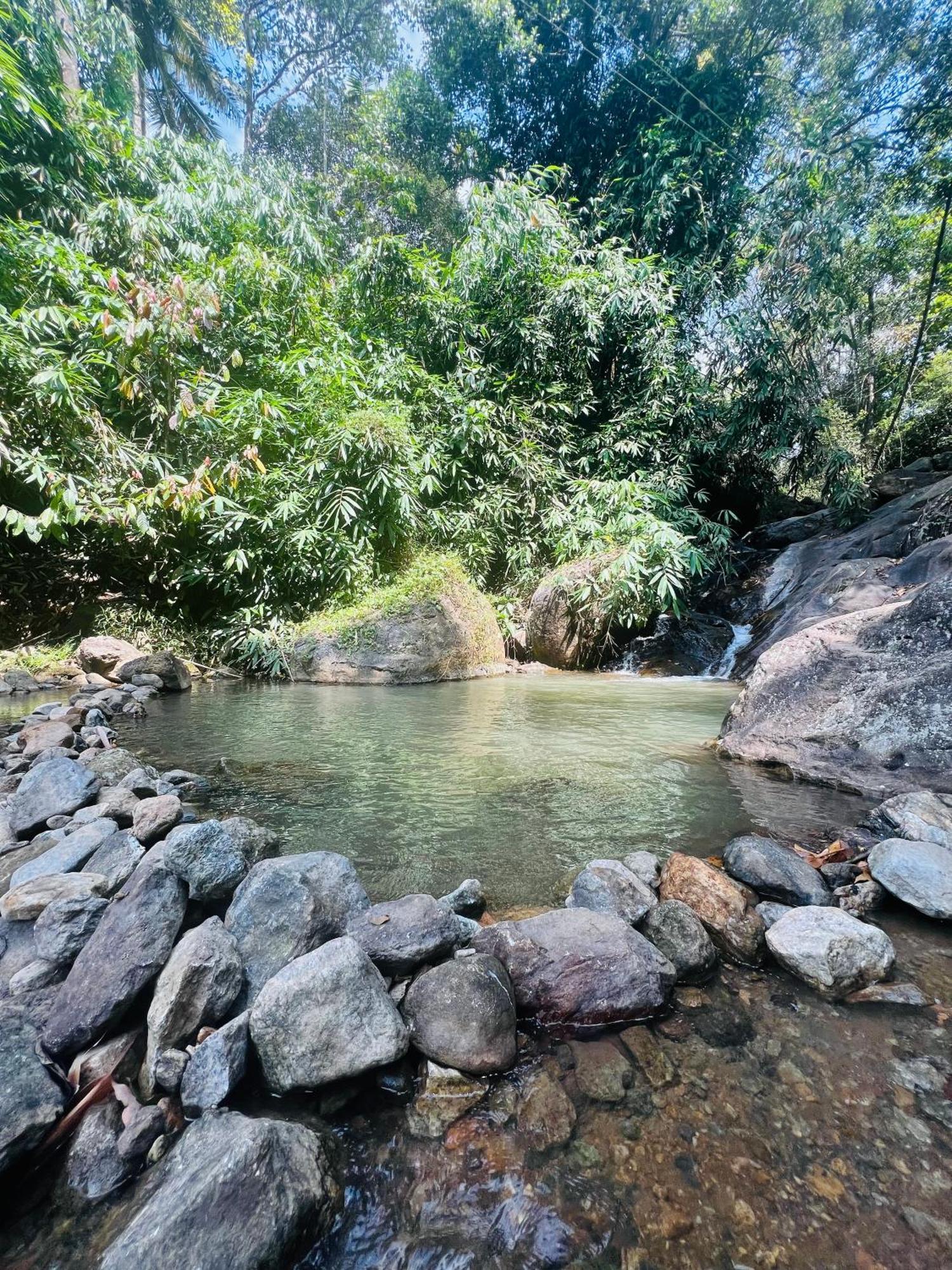 Hotel Mount Court Munnar Exteriér fotografie